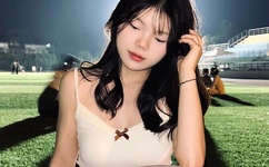 高N车多肉公交车